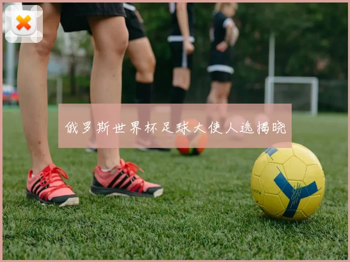 俄罗斯世界杯足球大使人选揭晓
