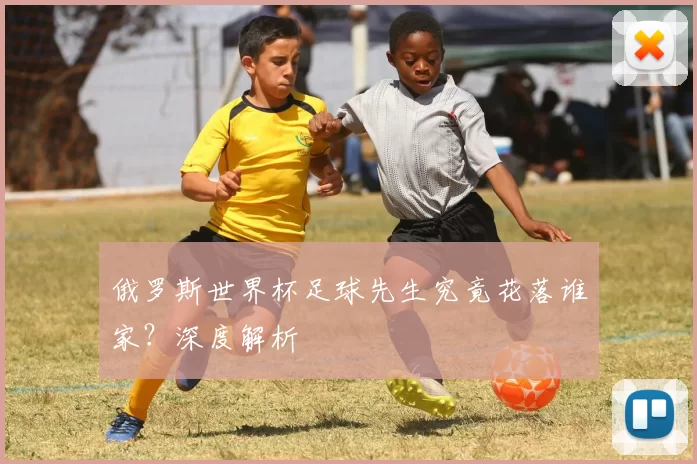 俄罗斯世界杯足球先生究竟花落谁家?深度解析