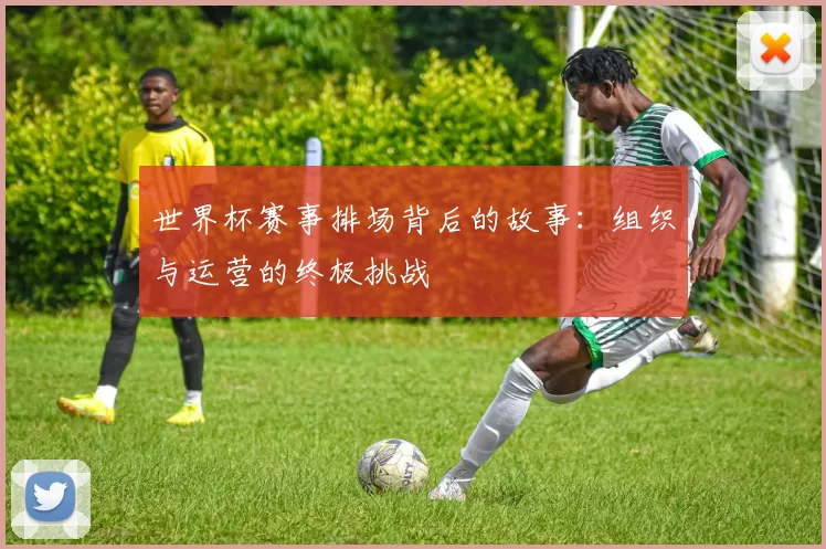 世界杯赛事排场背后的故事:组织与运营的终极挑战
