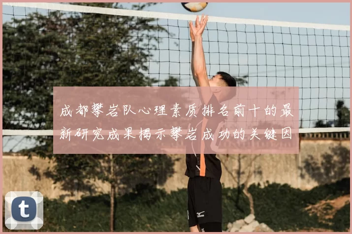 成都攀岩队心理素质排名前十的最新研究成果揭示攀岩成功的关键因素