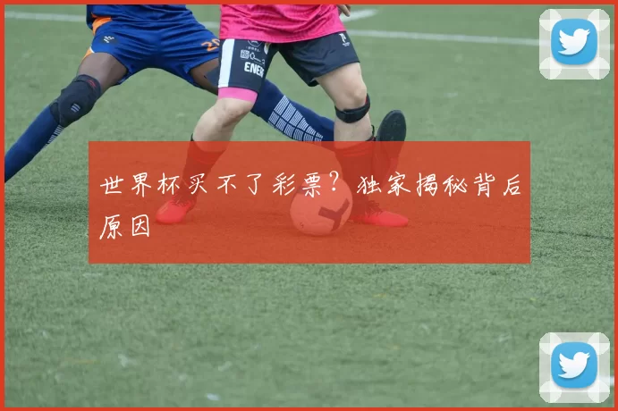 世界杯买不了彩票?独家揭秘背后原因