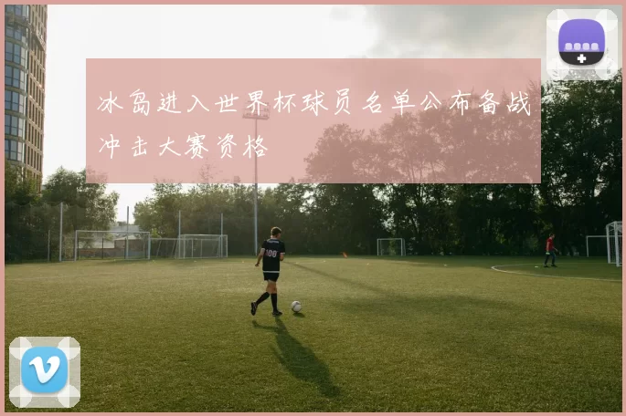 冰岛进入世界杯球员名单公布备战冲击大赛资格