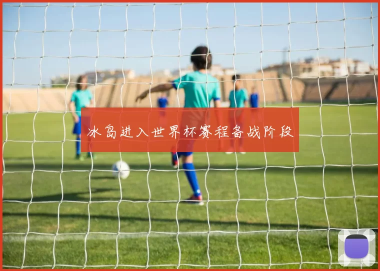冰岛进入世界杯赛程备战阶段