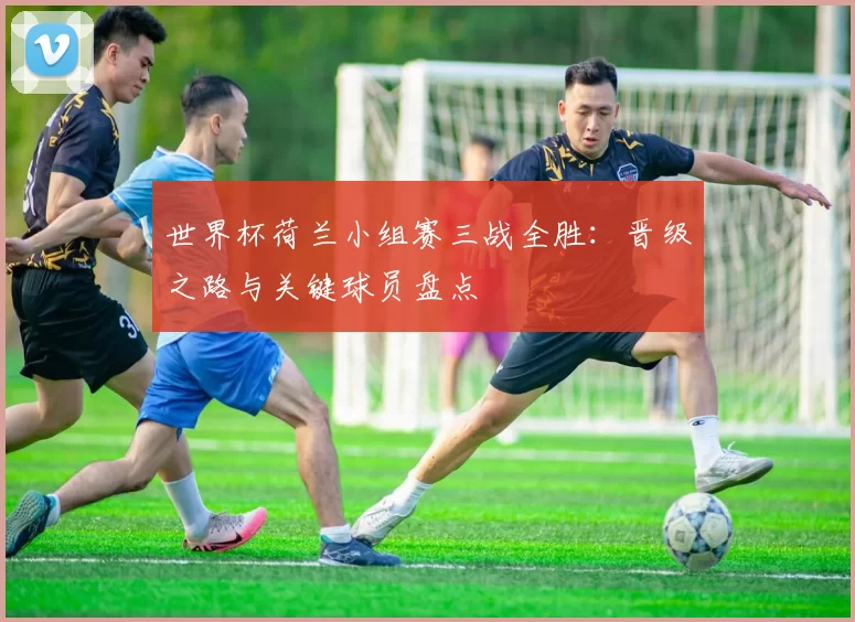 世界杯荷兰小组赛三战全胜:晋级之路与关键球员盘点