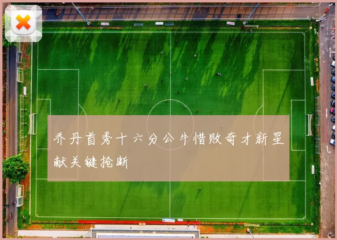 乔丹首秀十六分公牛惜败奇才新星献关键抢断