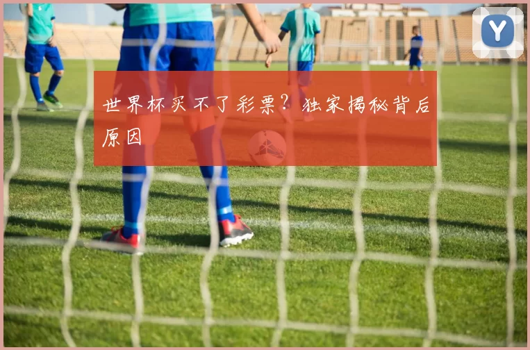 世界杯买不了彩票?独家揭秘背后原因
