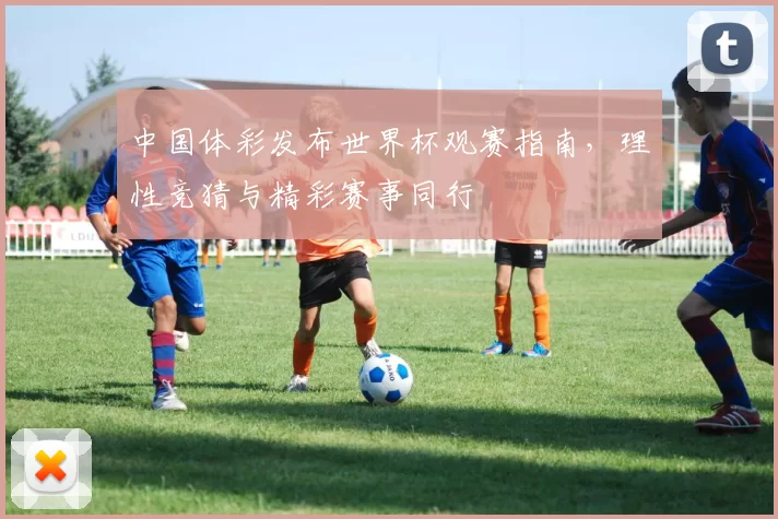 中国体彩发布世界杯观赛指南,理性竞猜与精彩赛事同行