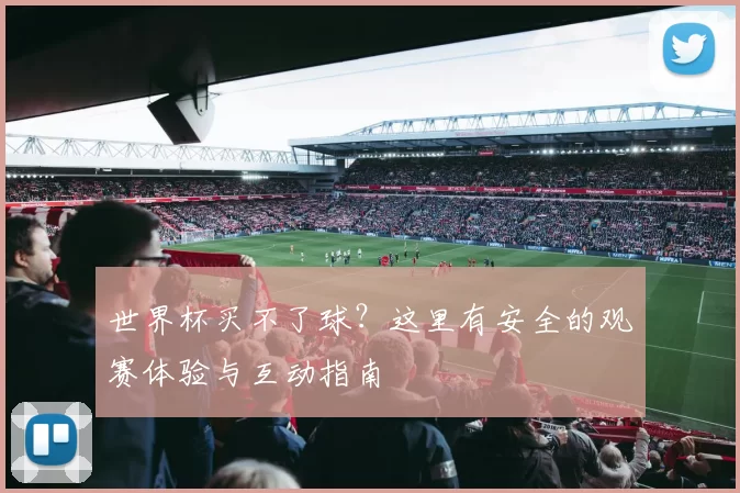 世界杯买不了球?这里有安全的观赛体验与互动指南